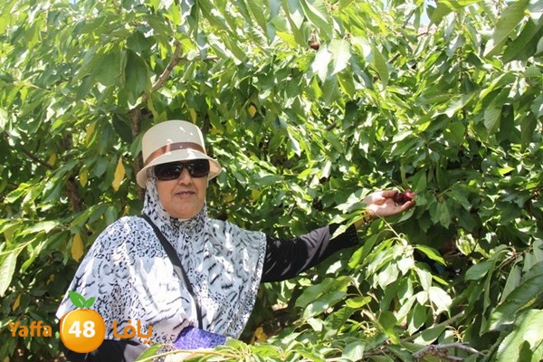 bayareq re7la shamal 0612 (48).JPG